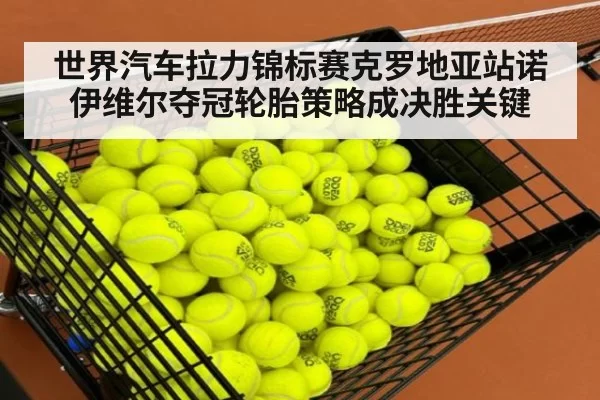 世界汽车拉力锦标赛克罗地亚站诺伊维尔夺冠轮胎策略成决胜关键