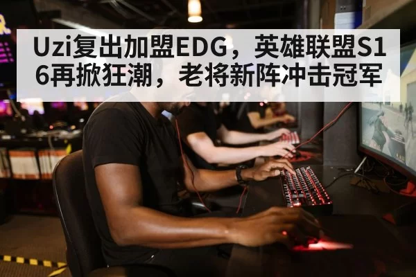 pro gamer playing computer